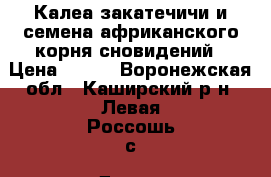 Калеа закатечичи и семена африканского корня сновидений › Цена ­ 600 - Воронежская обл., Каширский р-н, Левая Россошь с. Другое » Продам   